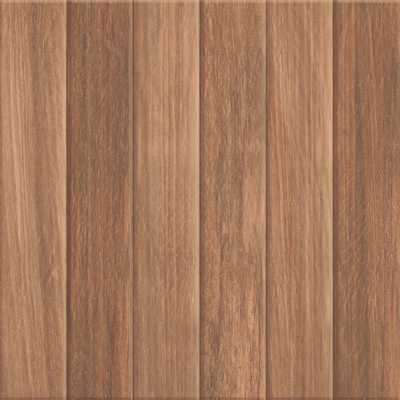 PLATINUM 50X50 DARWIN BROWN  (DIS)